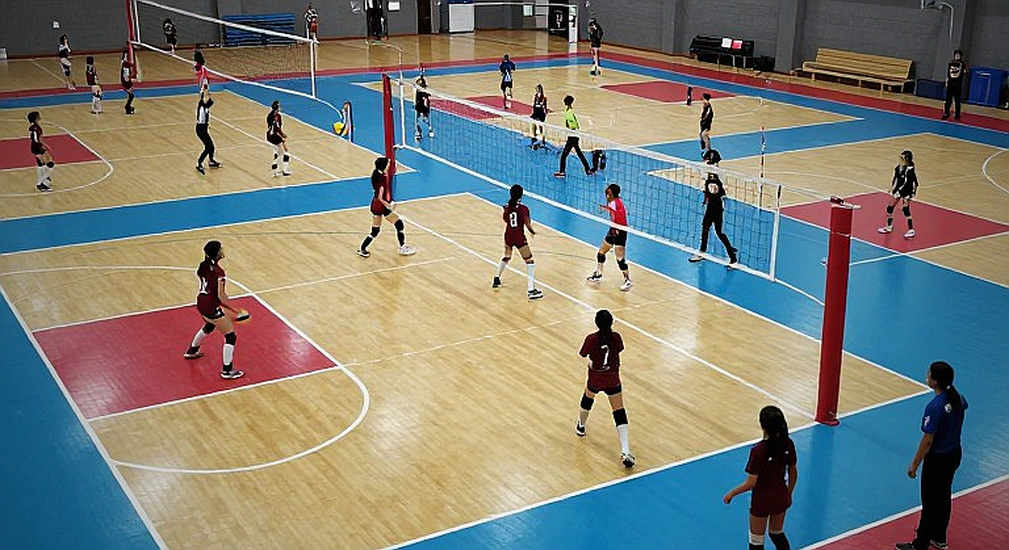 Bảng Thống Kê Trống: Nơi Dữ Liệu Bóng Chuyền Nữ Bị Bỏ Quên